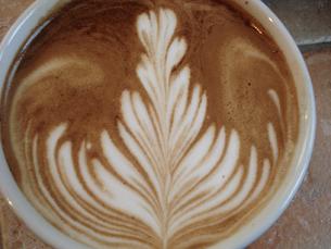 2 hole rosetta