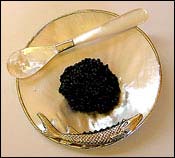 Caviar Spoon