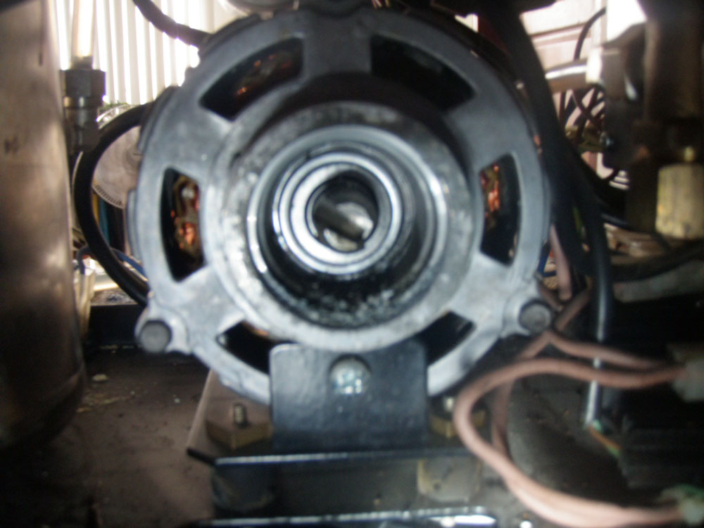 motor end to pump.JPG